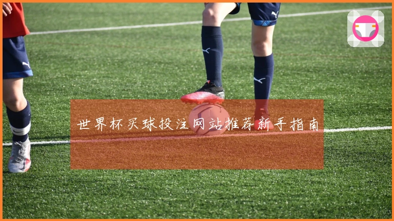 世界杯买球投注网站推荐新手指南