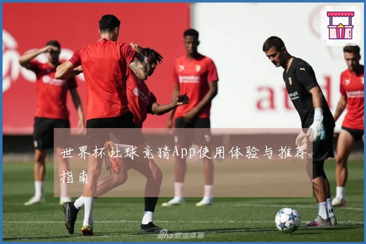 世界杯让球竞猜App使用体验与推荐指南