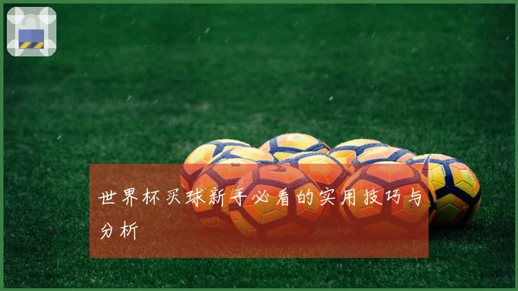 世界杯买球新手必看的实用技巧与分析