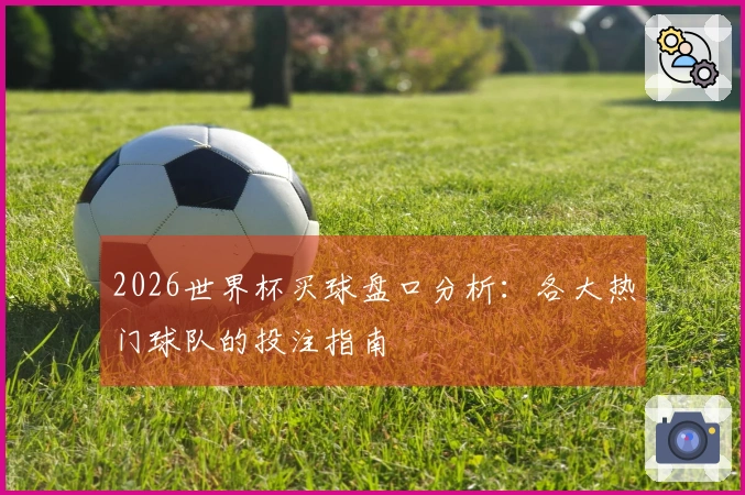 2026世界杯买球盘口分析：各大热门球队的投注指南