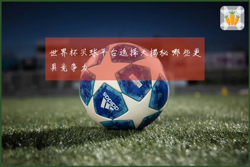 世界杯买球平台选择大揭秘 哪些更具竞争力