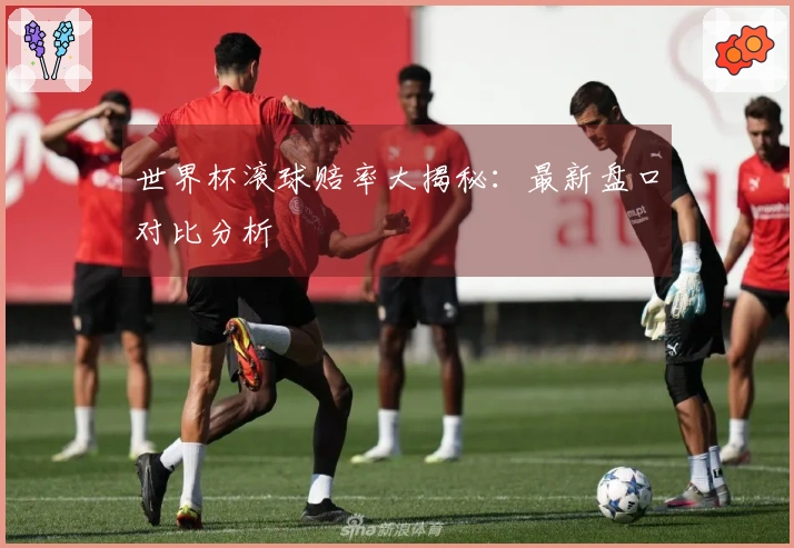 世界杯滚球赔率大揭秘：最新盘口对比分析