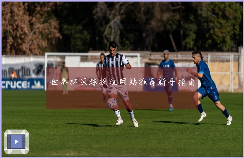 世界杯买球投注网站推荐新手指南