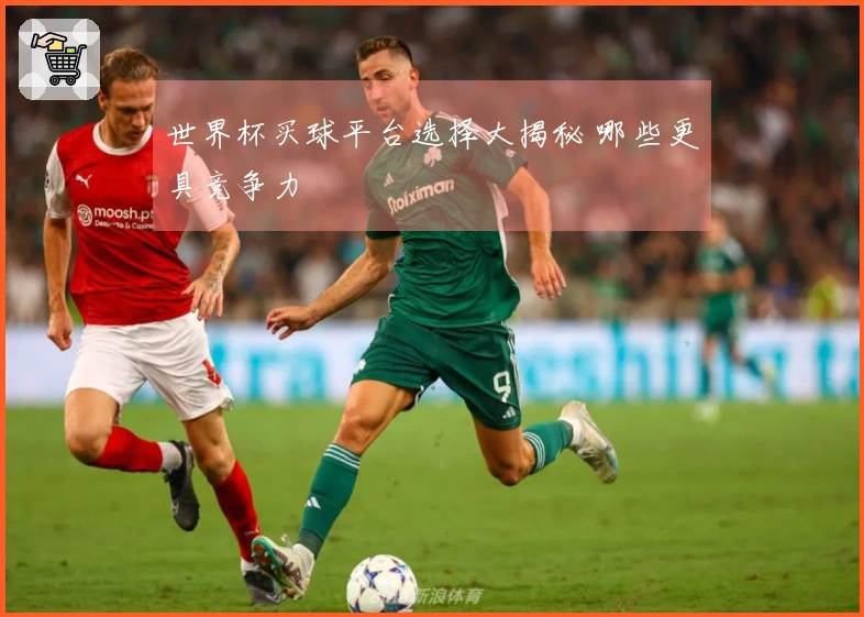 世界杯买球平台选择大揭秘 哪些更具竞争力