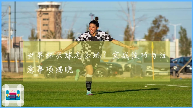 世界杯买球怎么玩？实战技巧与注意事项揭晓