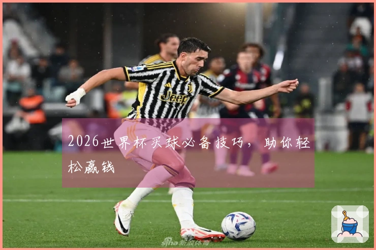 2026世界杯买球必备技巧，助你轻松赢钱