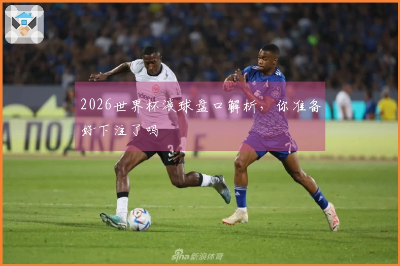 2026世界杯滚球盘口解析，你准备好下注了吗