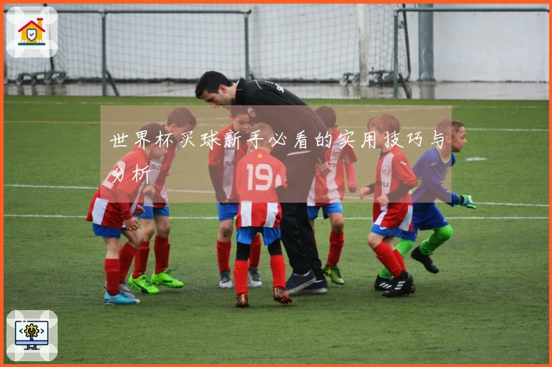 世界杯买球新手必看的实用技巧与分析