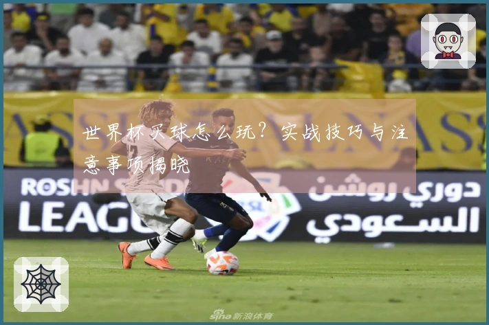 世界杯买球怎么玩？实战技巧与注意事项揭晓