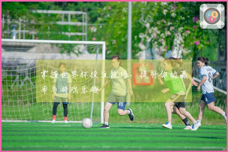 掌握世界杯投注技巧，提升你的赢率与游戏乐趣